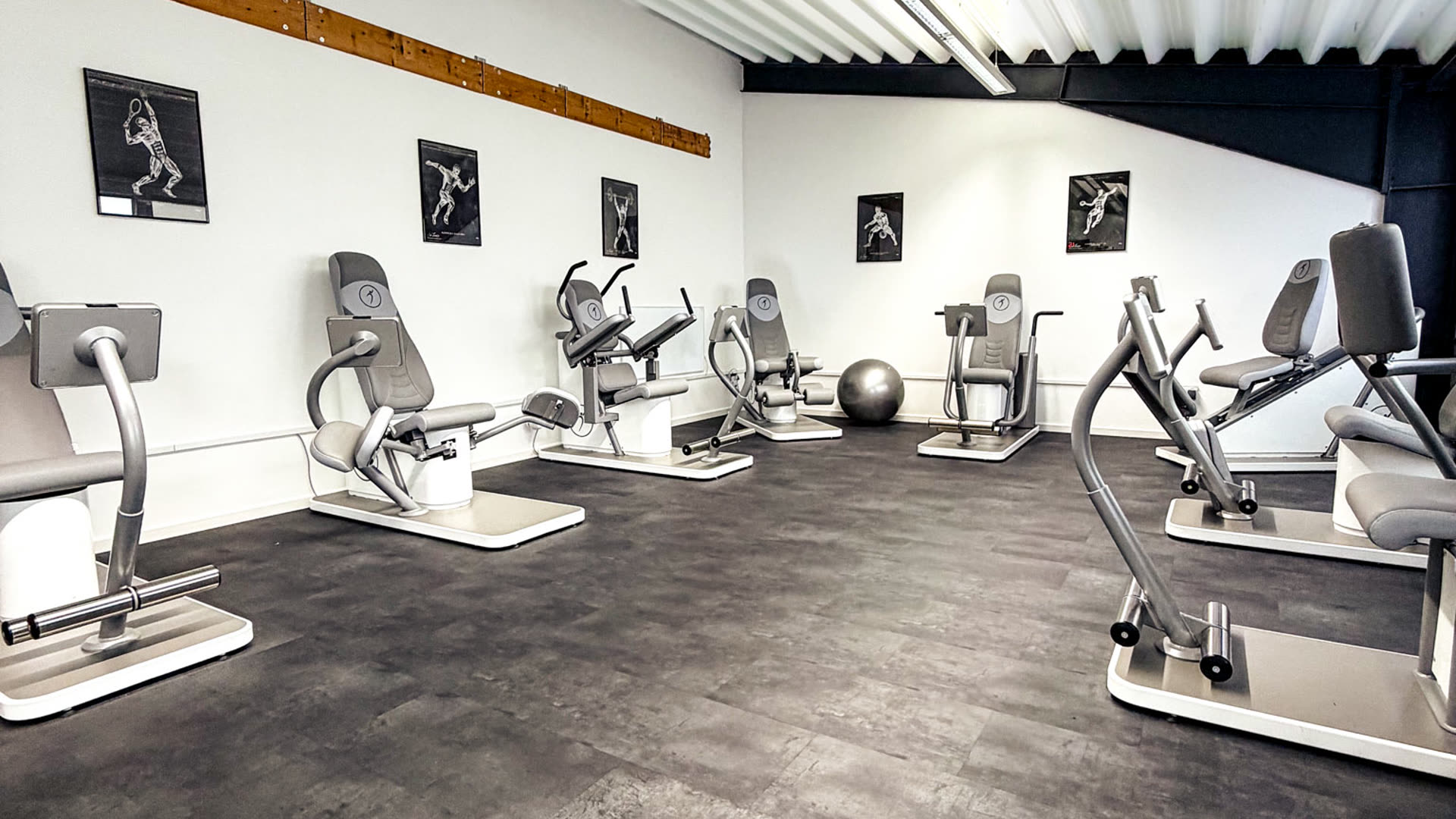 PhysioBox Trainingsbereich